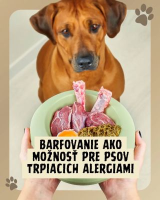 Prečo je barf strava výhodnejšia pre psov trpiacich alergiami? 🐕 Barfovanie je čoraz populárnejšou voľbou pre majiteľov...