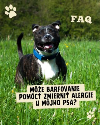 Môže barfovanie pomôcť zmierniť alergie u môjho psa? ℹ️💬 ✅Áno, barfovanie môže významne pomôcť zmierniť alergie tým, že...