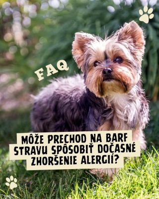 Môže prechod na BARF stravu spôsobiť dočasné zhoršenie alergií? ℹ️💬 Áno, pri prechode na BARF stravu môže niekedy dôjsť k...
