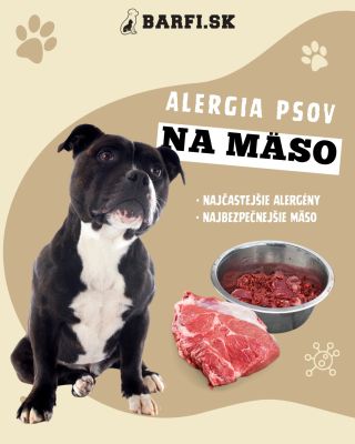 Vedeli ste, že aj naši štvornohí priatelia môžu byť alergickí na mäso? 📢🥩 Alergie psov na mäso sú bohužiaľ bežnejšie, než...